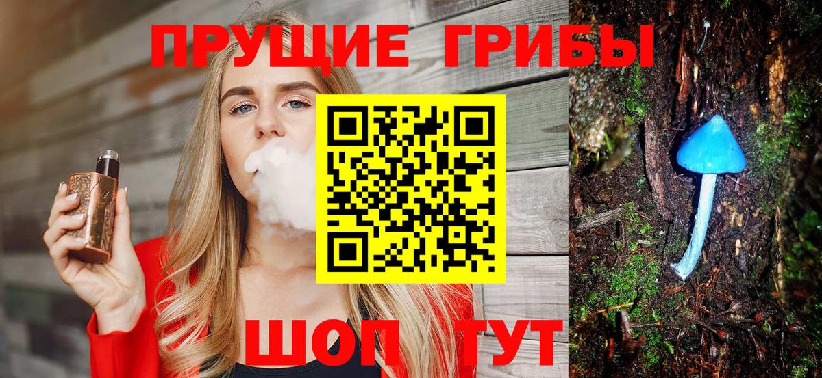 Кизляр  Галлюциногенные грибы Cubensis  Вход с VPN  Галлюциногенные грибы прущие грибы 